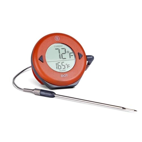 ThermoWorks ThermoWorks DOT Simple Alarm Thermometer